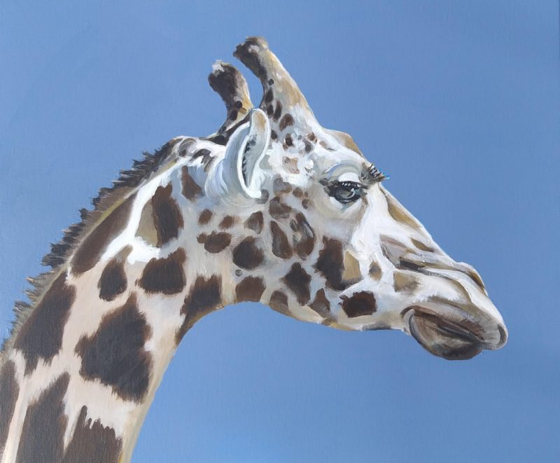EXPOSITION AU MAGHARIBI à ABIDJAN, MAI 2020
